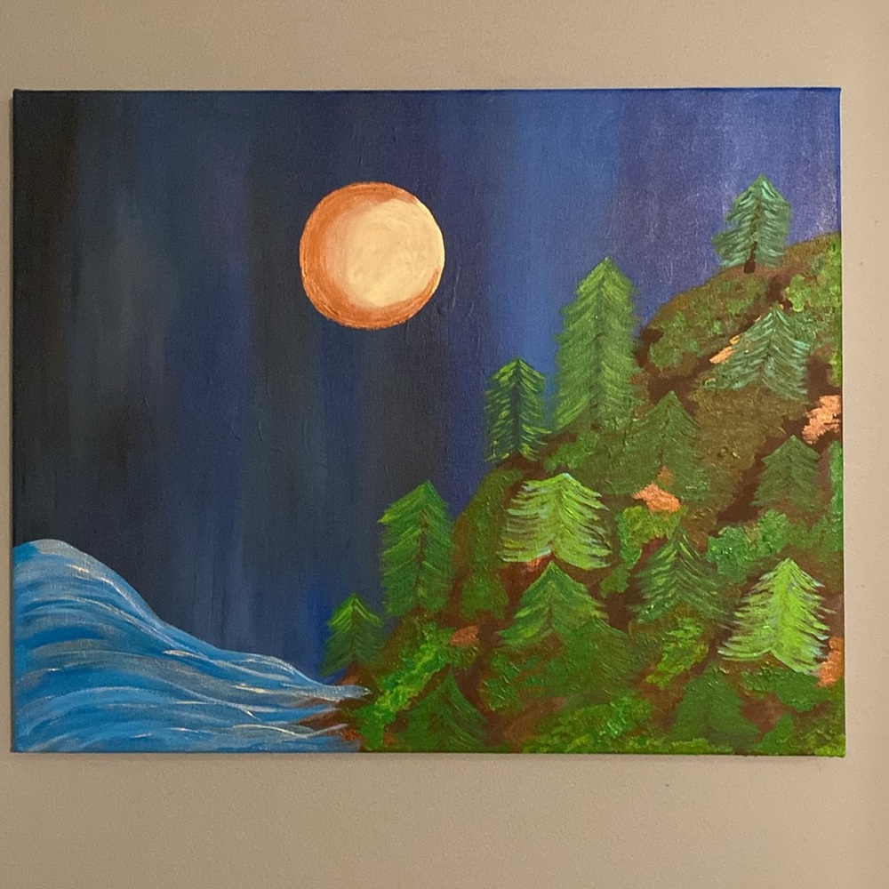 U.P. Art 20” x 16” Wall Canvas Painting New Handmade Home Scenic Decor
